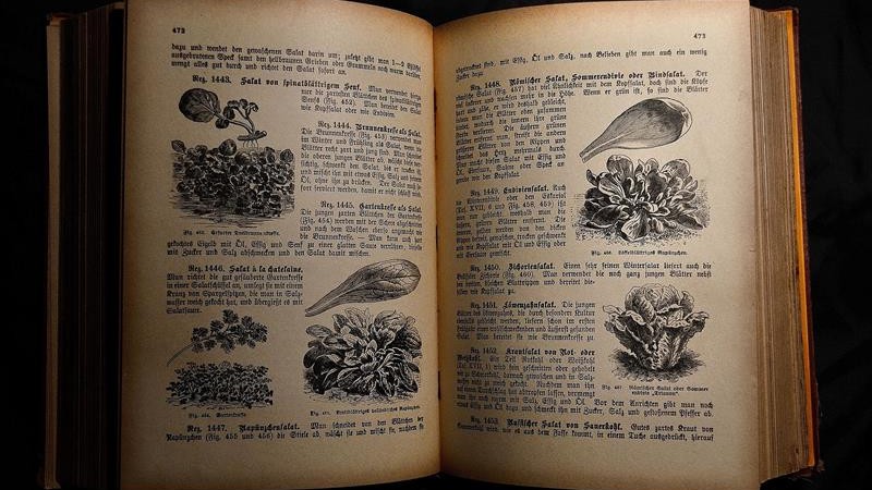 libro di ricette antico aperto e stampato in bianco e nero