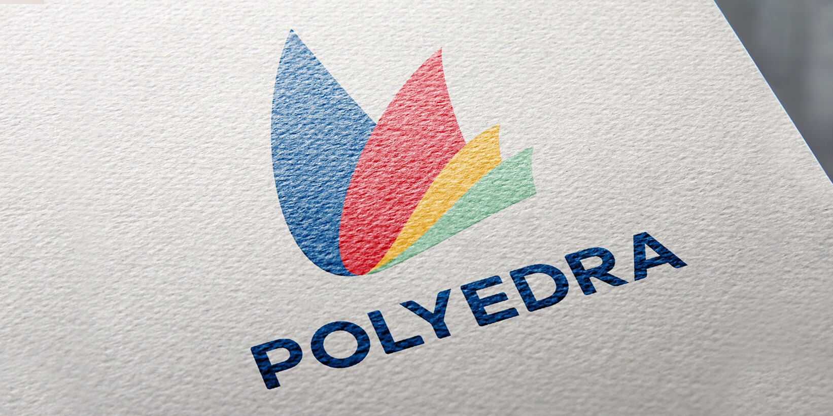 logo polyedra stampato a colori su carta ruvida